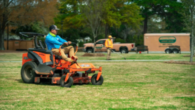 How to Maintain a Beautiful Lawn Year-Round in Charleston