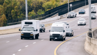 How Do Frozen Products Stay Fresh During Transport?