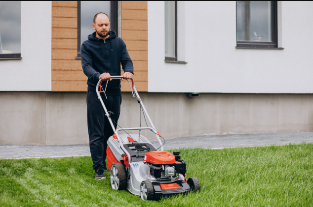 How to Maintain a Healthy Lawn Year-Round